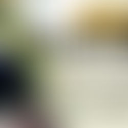 Volunteering at NIWRA is FUN!