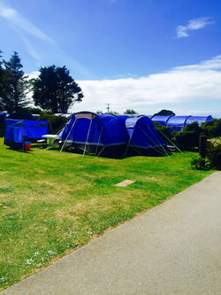 Happy Campers