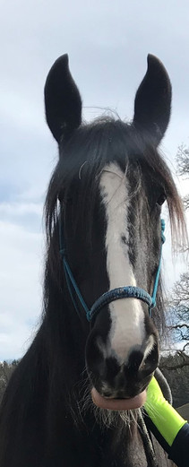 Handsome