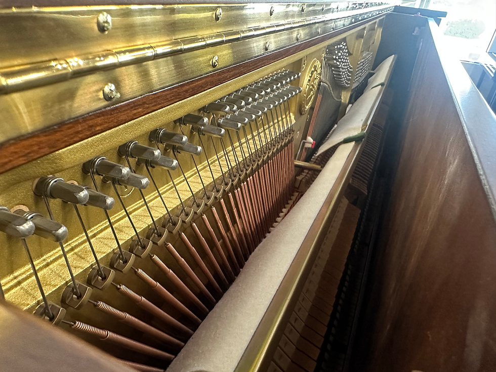 Thumbnail: YAMAHA UX50WnC