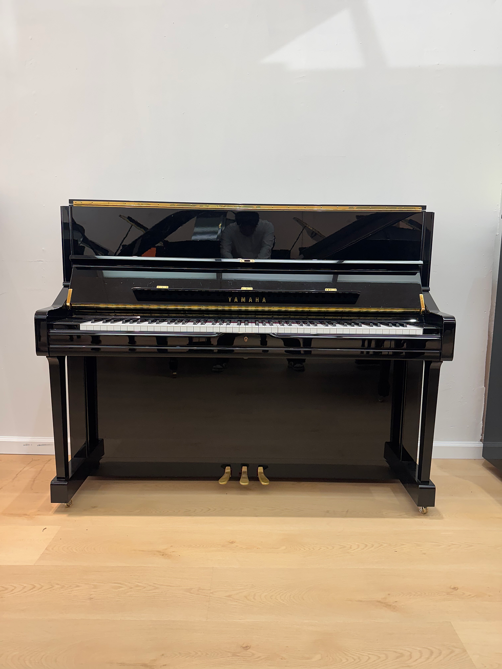 縮圖：2008 Yamaha U1