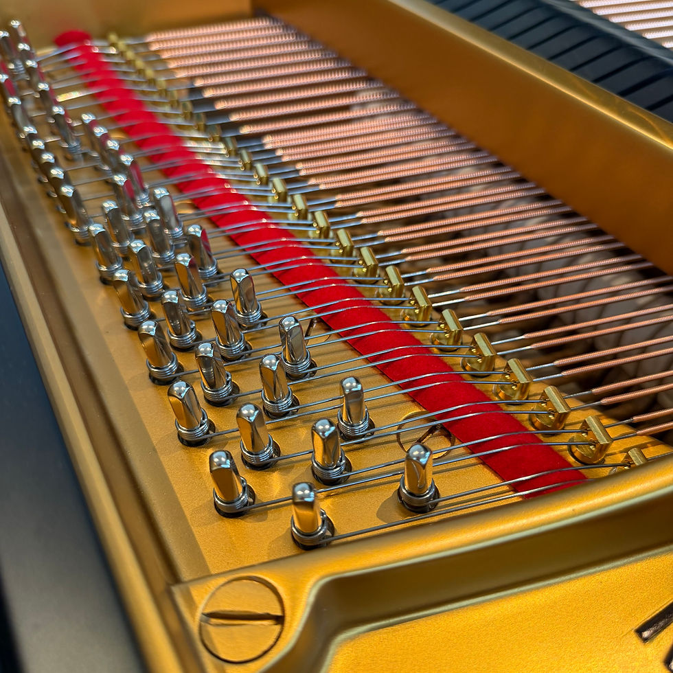 Thumbnail: Steinway&sons Model M
