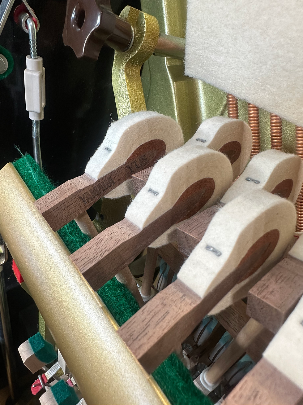 Thumbnail: YAMAHA YUS5