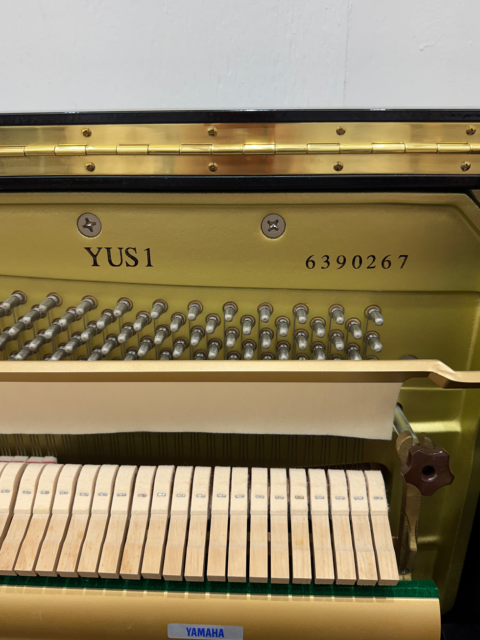 縮圖：2014 Yamaha YUS1