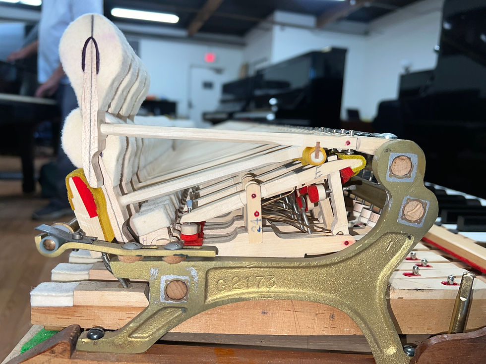 Thumbnail: Steinway Model M (5' 7") Grand Piano