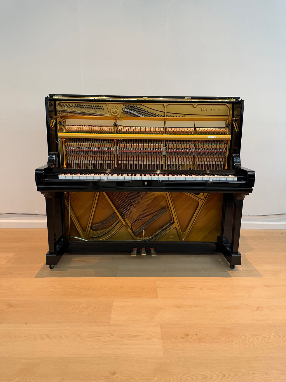 Thumbnail: 1982 Yamaha U3M