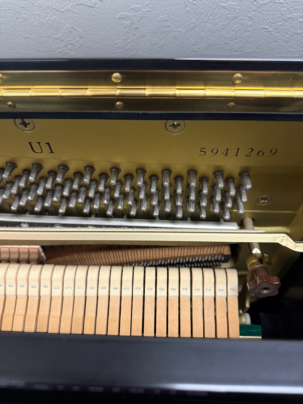 Thumbnail: 2002 Yamaha U1