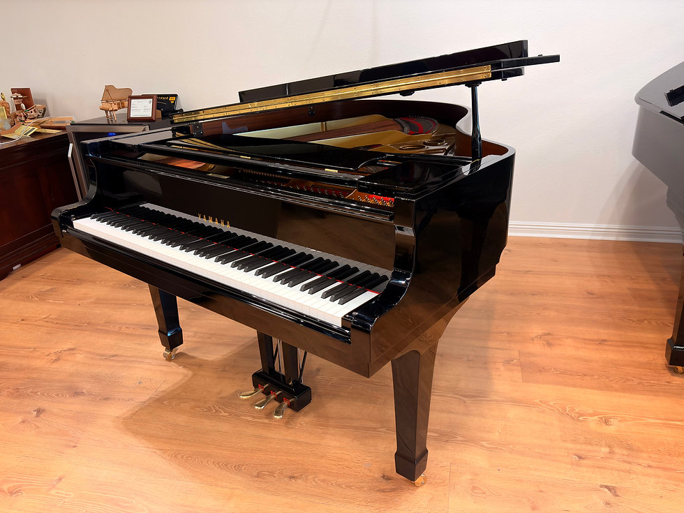 Thumbnail: 1989 Yamaha G3B
