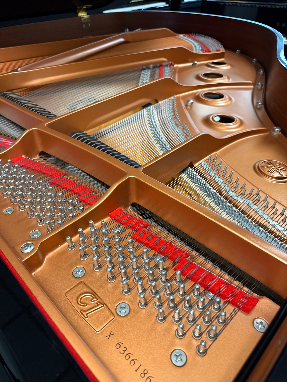 Thumbnail: YAMAHA C1X