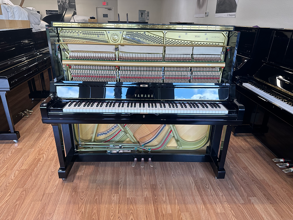 Thumbnail: YAMAHA YUS5