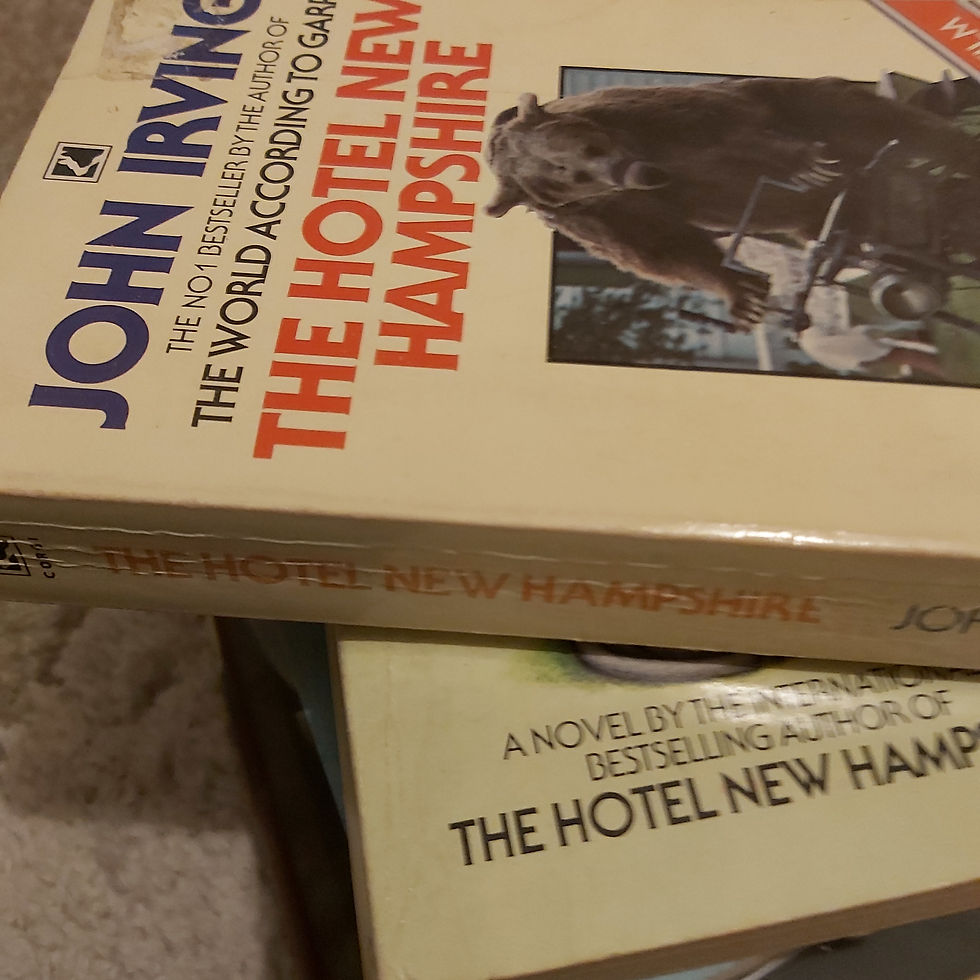 Thumbnail: The hotel New Hampshire