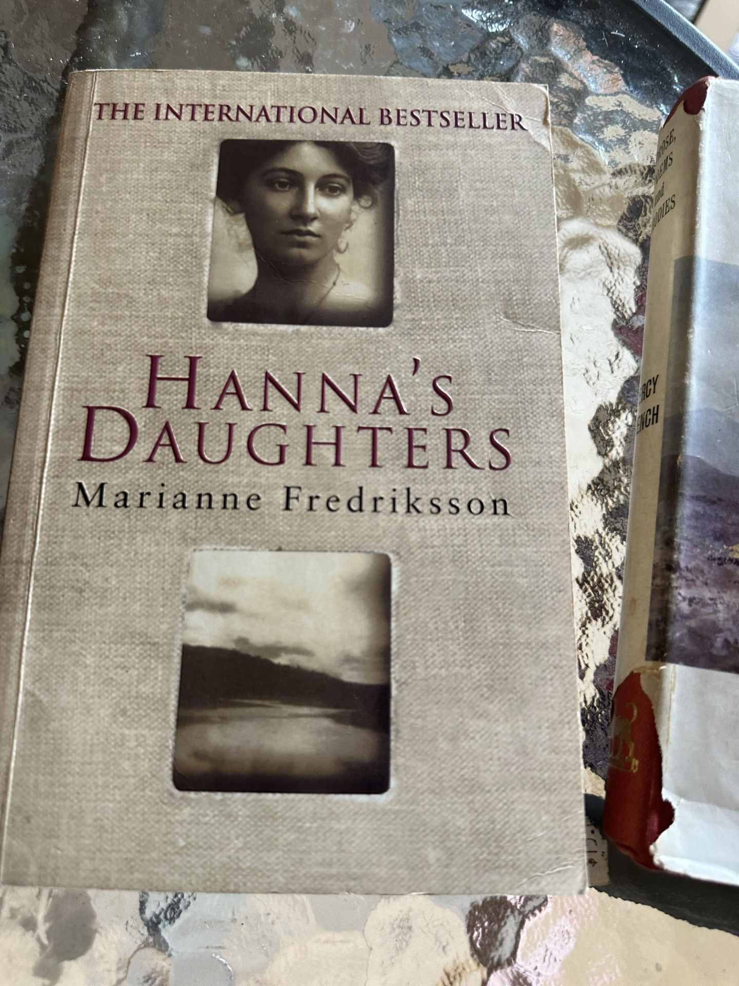 Hanna's Daughters - Marianne Fredriksson