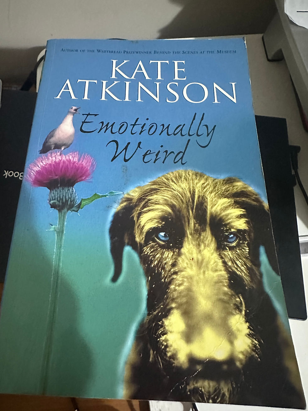 Thumbnail: Emotionally Weird