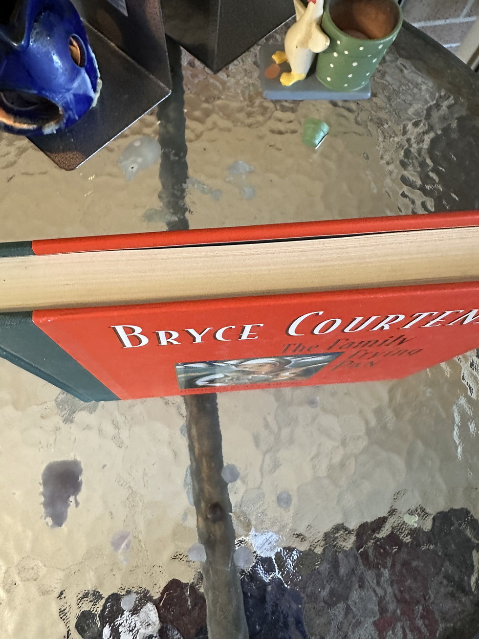 Thumbnail: The Family Frying Pan Bryce Courtenay
