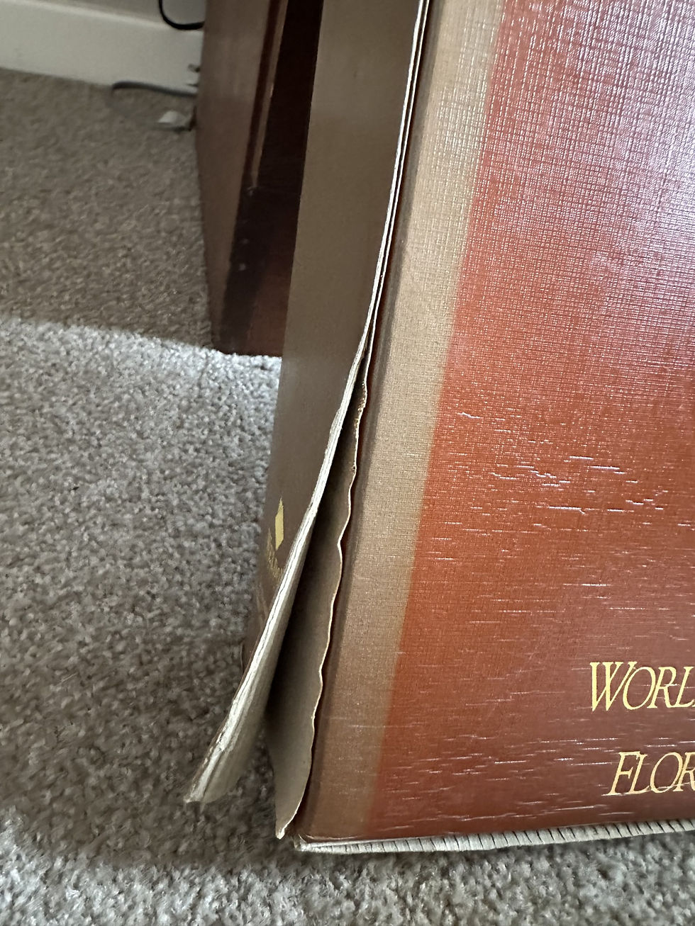 Thumbnail: Australia's Wilderness Heritage Vol. 1 & 2 by Penelope Figgis & Geoff Mosley