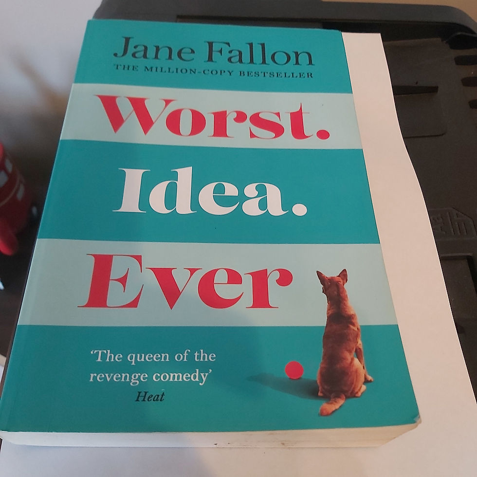 Worst Idea Ever Jane Fallon