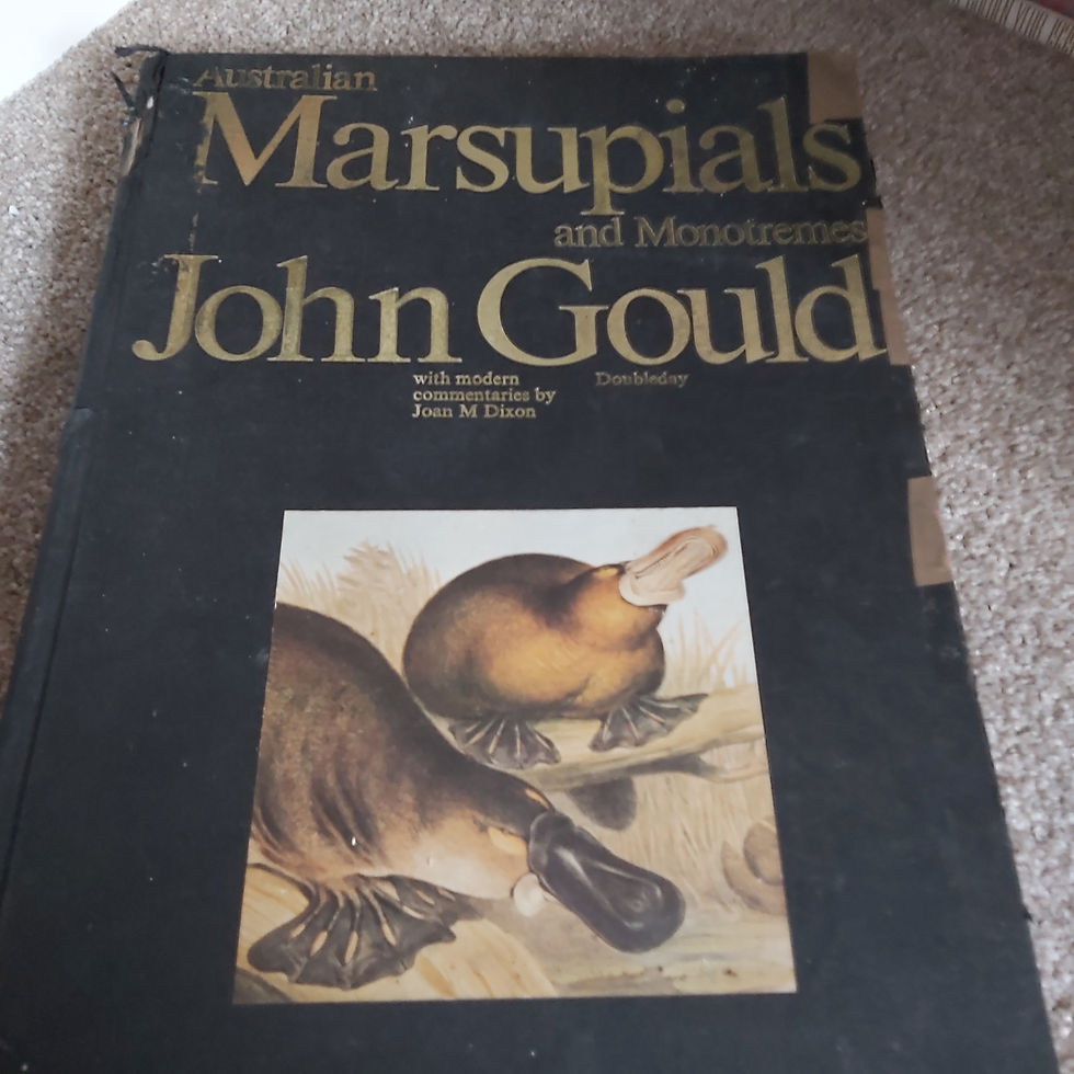 Thumbnail: Australian Marsupials and Monotremes