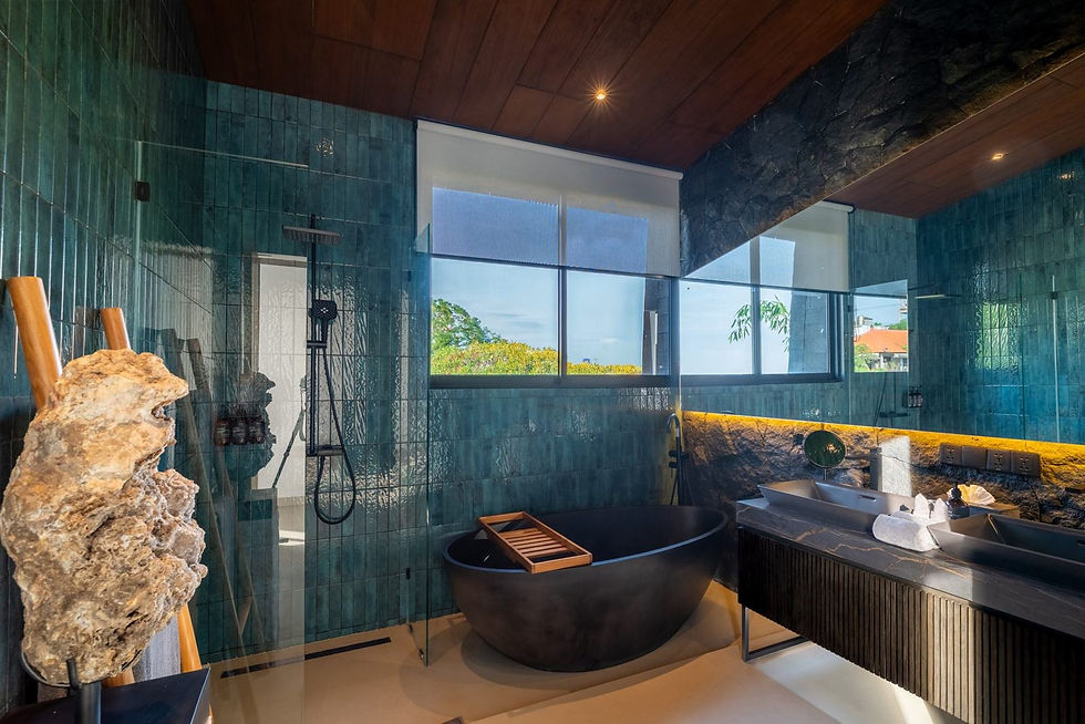 v2_suite1_bath.jpg