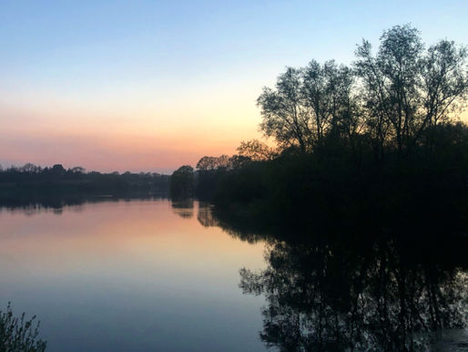 A Year Has Passed...