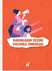 Kadınların Seçimi Politika Önerileri