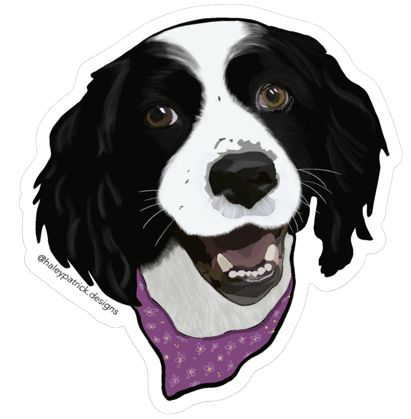 English Springer Spaniel