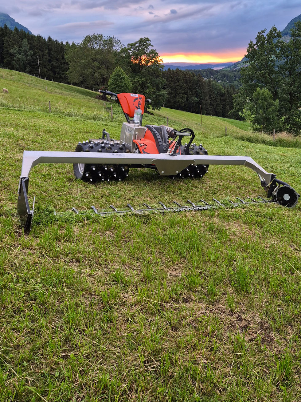 ein Mähmaschine von Ibex auf einer grünen Wiese