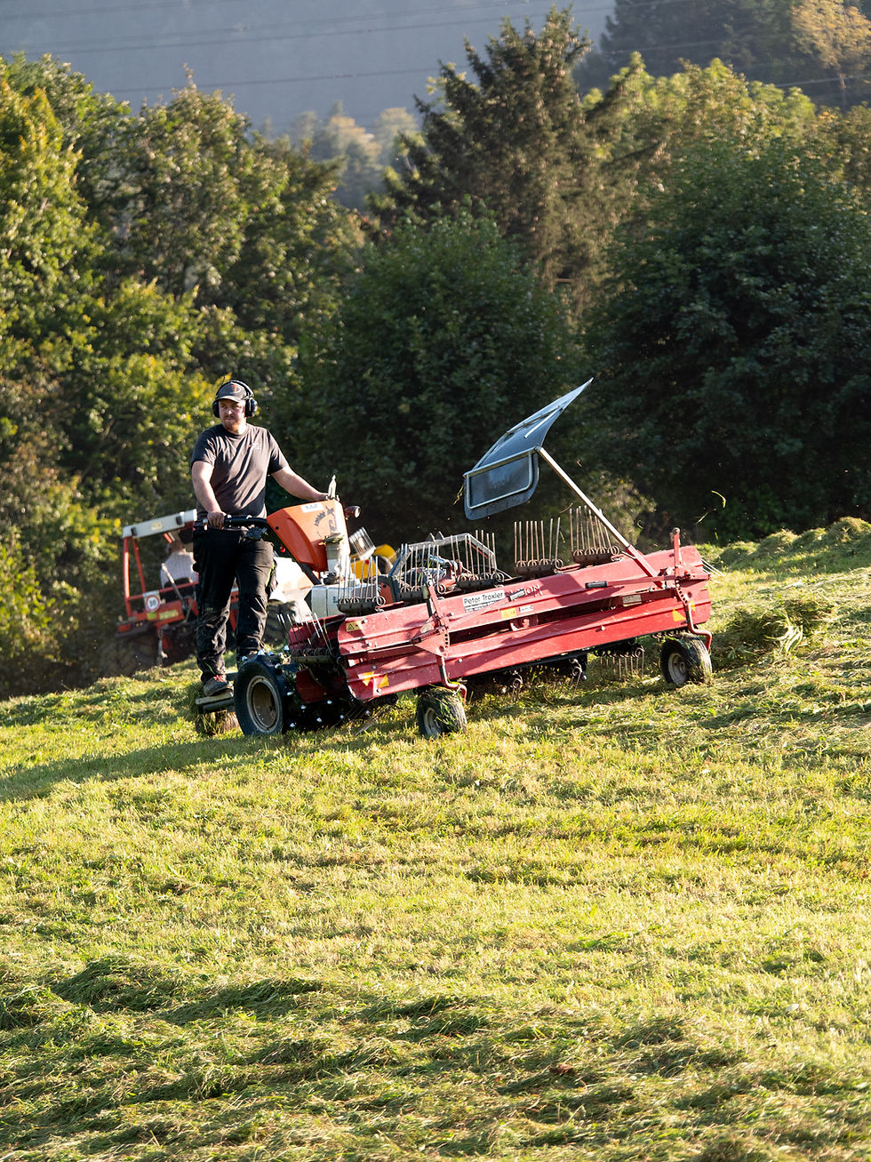Mitarbeiter auf einem Kreiselheuer auf einem frisch gemähten Feld