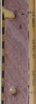 P1040683_edited.jpg