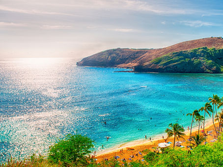 Hawaii’s Rich And Vibrant Connection With Jewelry
