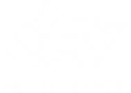 Pacific Expos Blue Logo PNG White.png