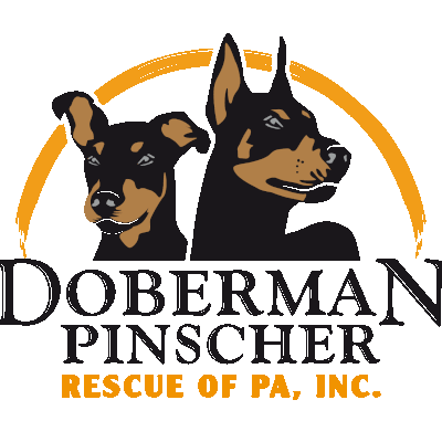 pinscher rescue