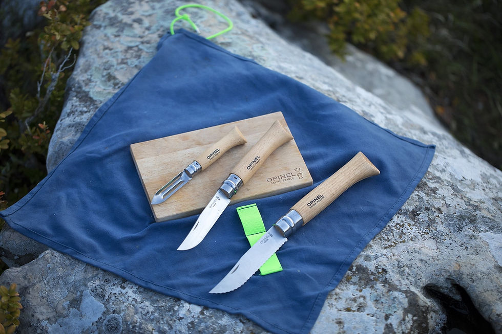ภาพขนาดย่อ: Opinel Nomad set (002177)