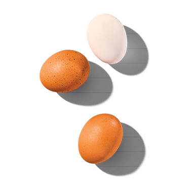 Eggs (5).png