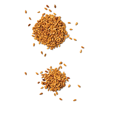 Flaxseed (3).png