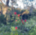 Taking time to smell the wildflowers.