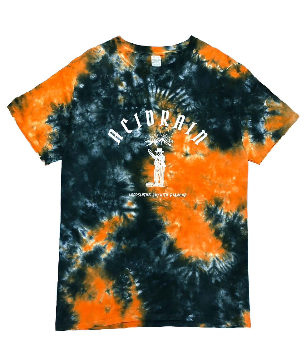 サムネイル： ACIDRAIN ( L )