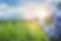 shutterstock_1421951477.jpg