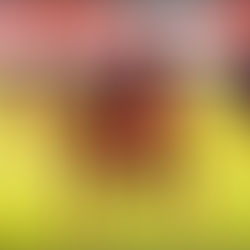 Ligue 1 (4J) : Génération Foot lance enfin sa saison avec un succès solide