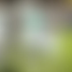 Le Sénégal s’envole vers le Mondial 2026 !