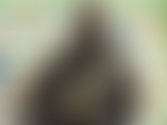 FSF : Mayacine Mar quitte la Direction technique nationale après plus de dix ans