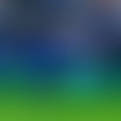 Mondial des Clubs : Koulibaly et Al Hilal face au Real, l’heure du test