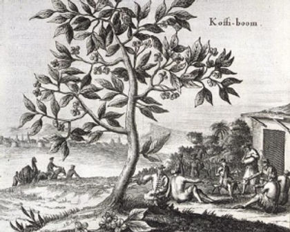 koffie-geschiedenis2.jpg
