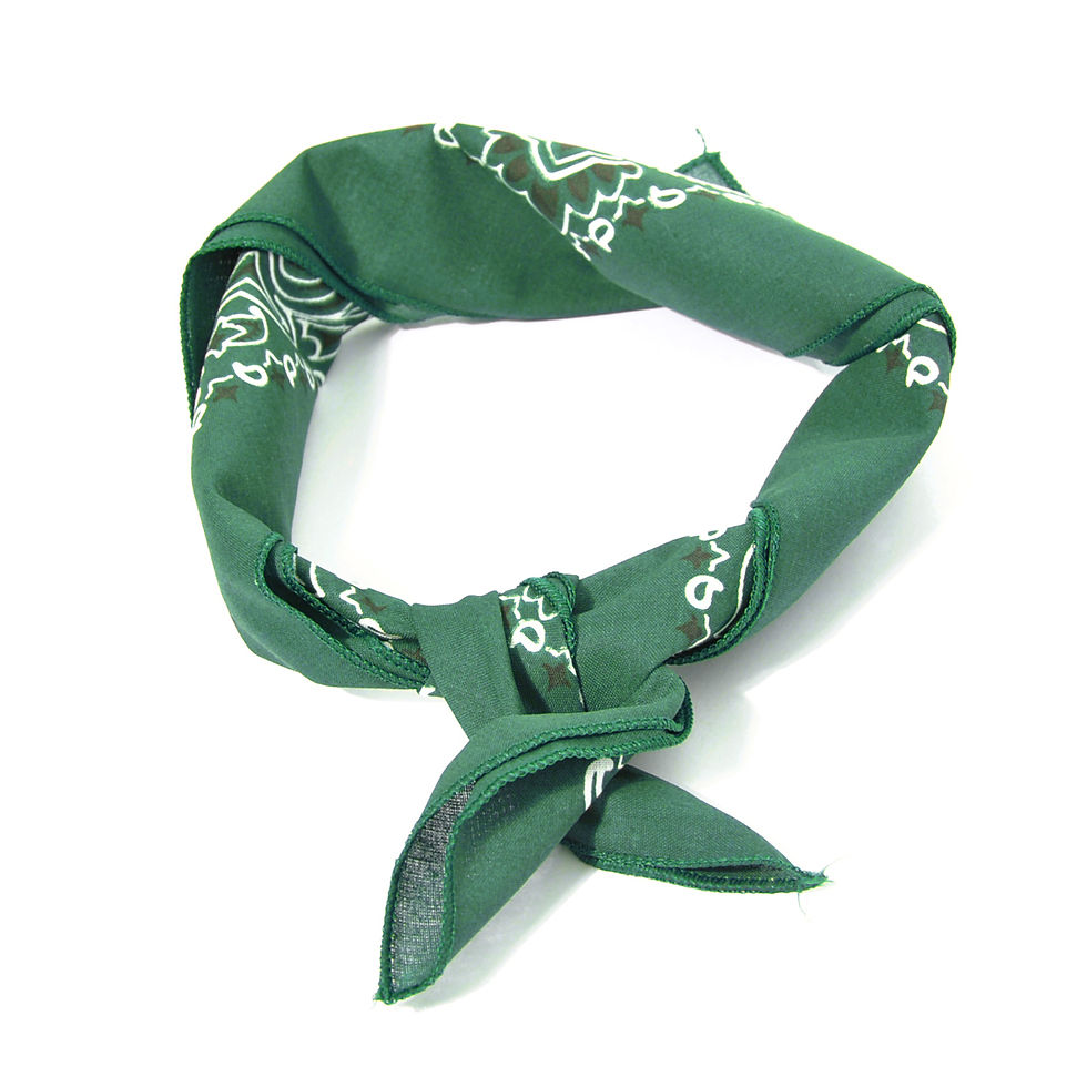 Thumbnail: HAV A HANK Traditional Paisleys Bandannas Green