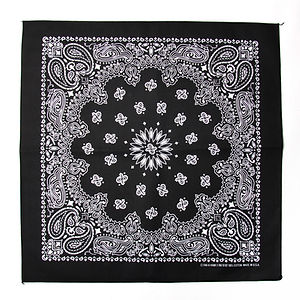 HAV A HANK Traditional Paisleys Bandannas Black
