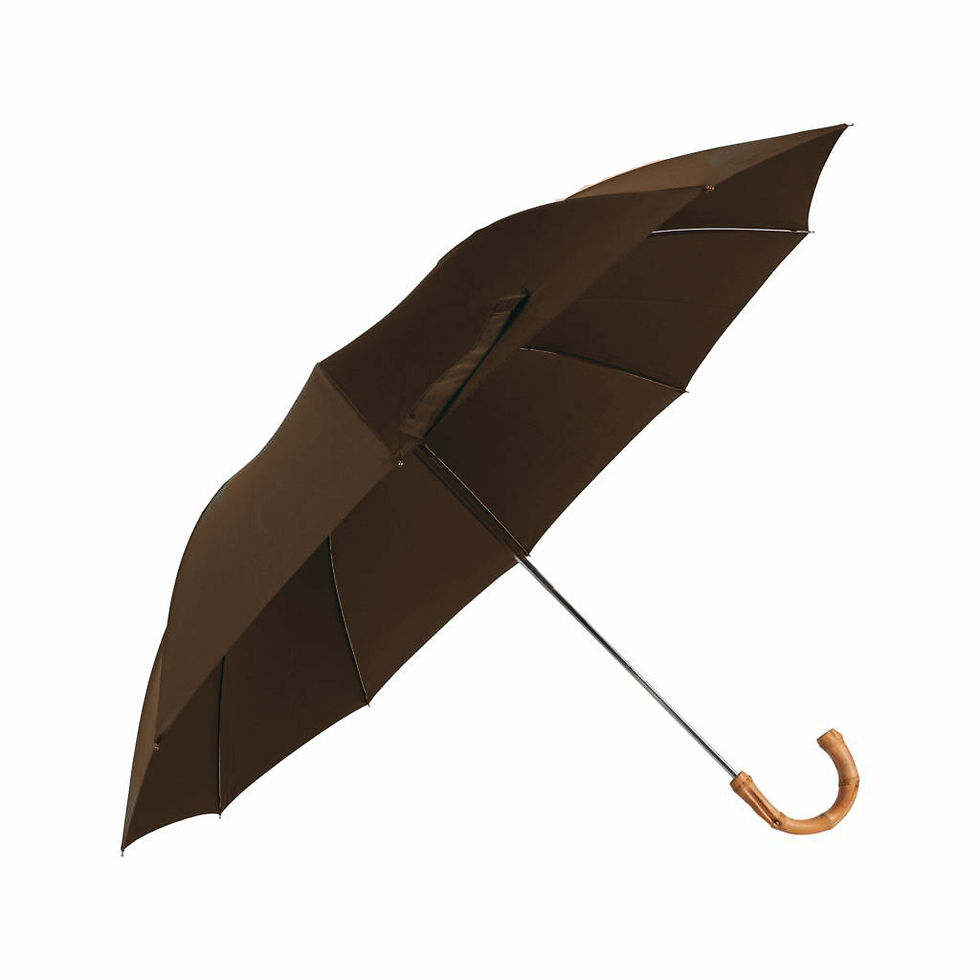 FOX UMBRELLAS GT9-WHAN-POLY-8RIB-BR なくな 高級長傘