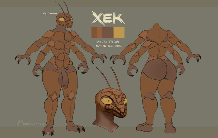 Xek_Floosh.png