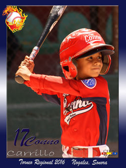 Carrillo 6x8