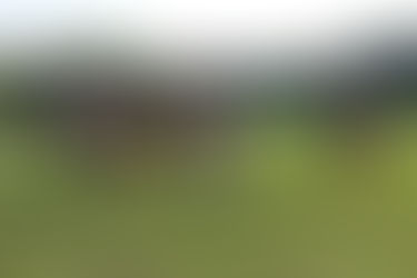 Design & Construction of Equestrian Trails