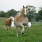 shutterstock_3009851.jpg