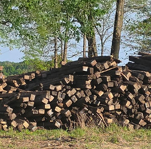 railroad ties_edited.jpg